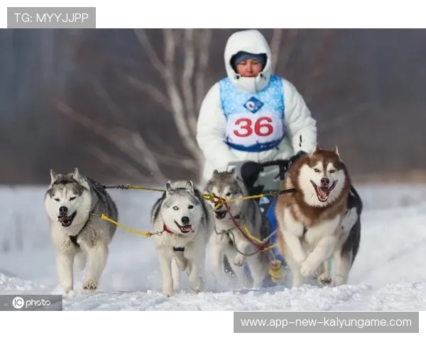 雪橇锦标：俄罗斯队稳居金牌榜，持续冲击纪录！，俄罗斯雪橇犬
